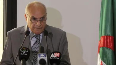 وزير الخارجية أحمد عطاف